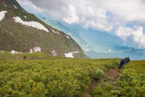 清々しい の意味とは 意味や使い方を解説 言葉の意味の備忘録