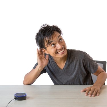 根掘り葉掘り の意味とは 意味や使い方を解説 言葉の意味の備忘録