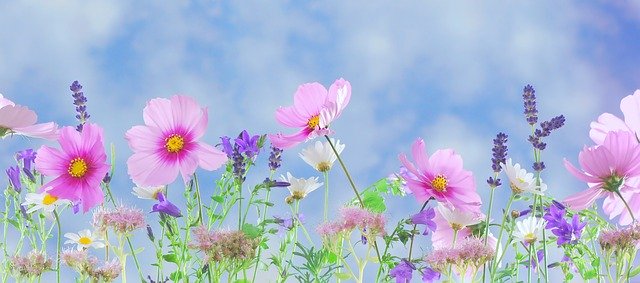 「言わぬが花」の意味とは？意味や使い方を解説！