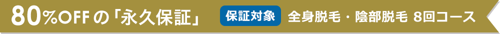 80%OFFの脱毛 保証対象:全身脱毛・陰部脱毛8回コース