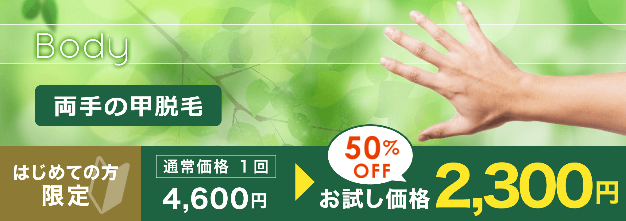 両手の甲