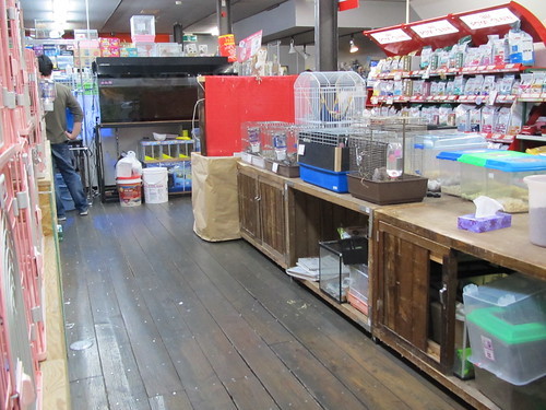 大阪 関西の大型ペットショップ６選をご紹介 関西最大はどこ 2ページ目 Petfull