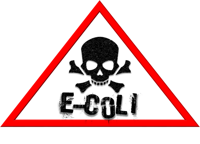 ガンジス川は汚すぎてヤバい 沐浴すると病気に感染するってホント たび日和