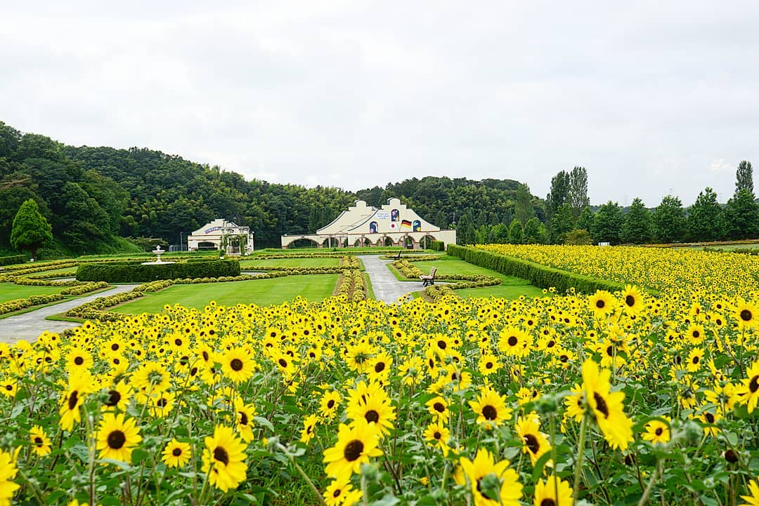 千葉の知られざる穴場観光スポット7選 有名ではないけど楽しい 2ページ目 たび日和