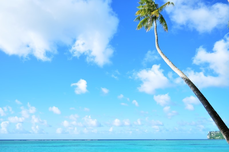 ハワイ旅行に必要 持っていくと便利な持ち物21選 忘れ物なしの安心な旅行に 2ページ目 たび日和