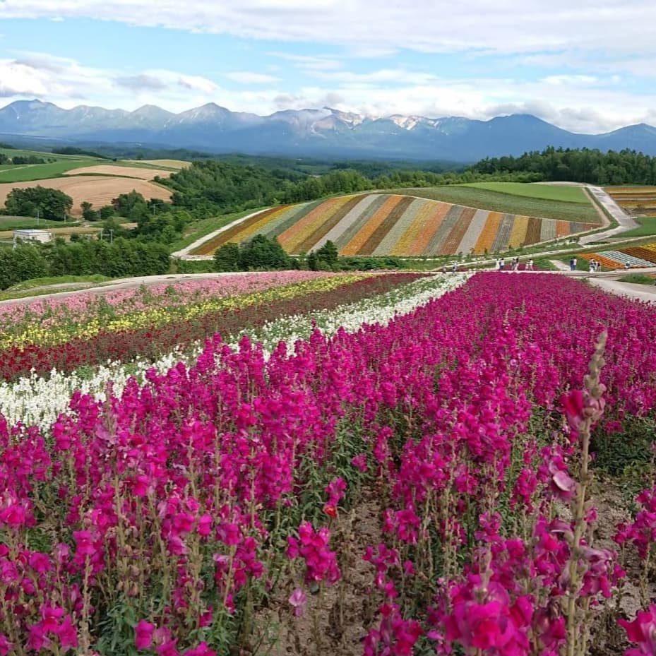 北海道はでっかいどう 広大な大地の大きさをわかりやすく比較解説 たび日和