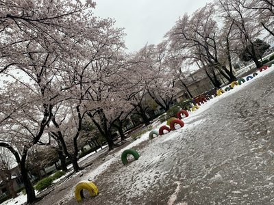 ライター一覧 たび日和