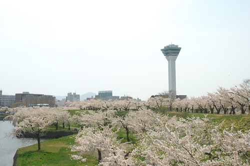 五稜郭タワーは函館を代表する観光スポット 高さやアクセス 駐車場を解説 旅行 お出かけの情報メディア