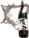 だらねこ / 小笠原 健太 だらねこ / 小笠原 健太