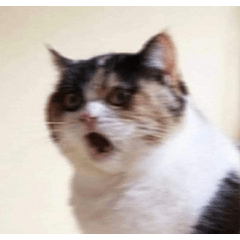 jxz