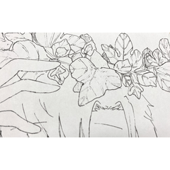 Line Pen For Color Illustration Clip Studio Assets