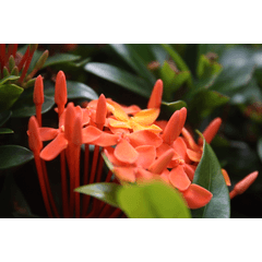 Glass Pen Wind Clip Studio Assets