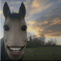 alobundaumamtom