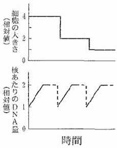 特殊な体細胞分裂 生殖と発生 センター生物対策過去問題集
