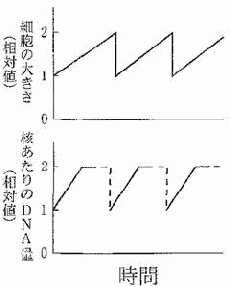 特殊な体細胞分裂 生殖と発生 センター生物対策過去問題集