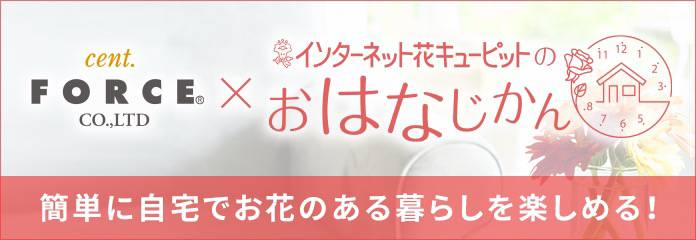花キューピット×セント・フォース「おはなじかん」