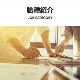 職種紹介　JOB CATEGORY