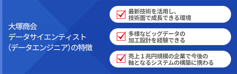 大塚商会データサイエンティスト（データエンジニア）の特徴