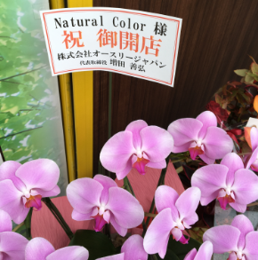 2018.11.1OPEN株式会社オースリージャパン様からきれいなお花をいただきました!
