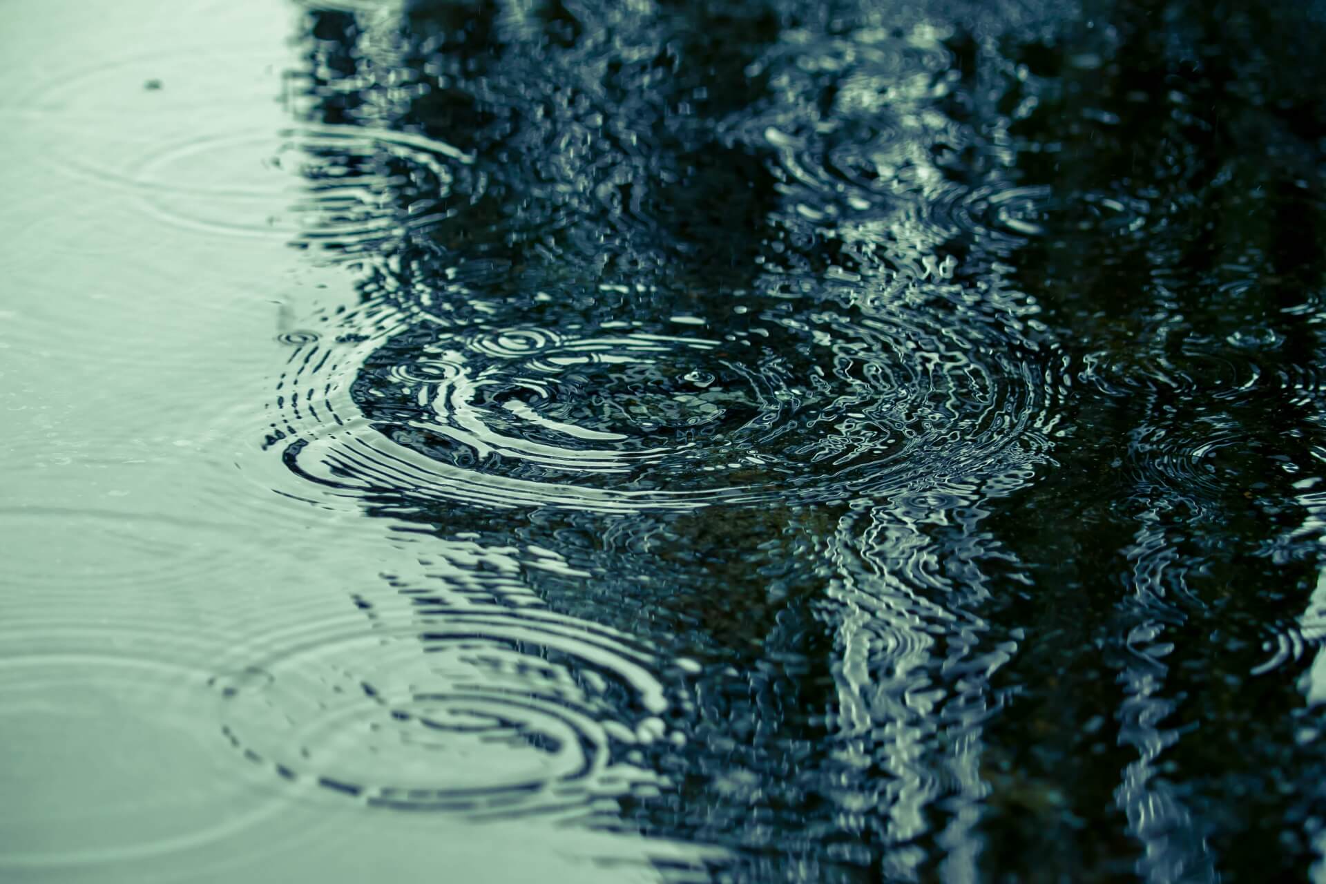 釣りをしたいけど雨……雨の日の釣りって実際どうなの?で工夫したいポイント等をご紹介します! 釣りをしたいけど雨……雨の日の釣りって実際どうなの?で工夫したいポイント等をご紹介します!
