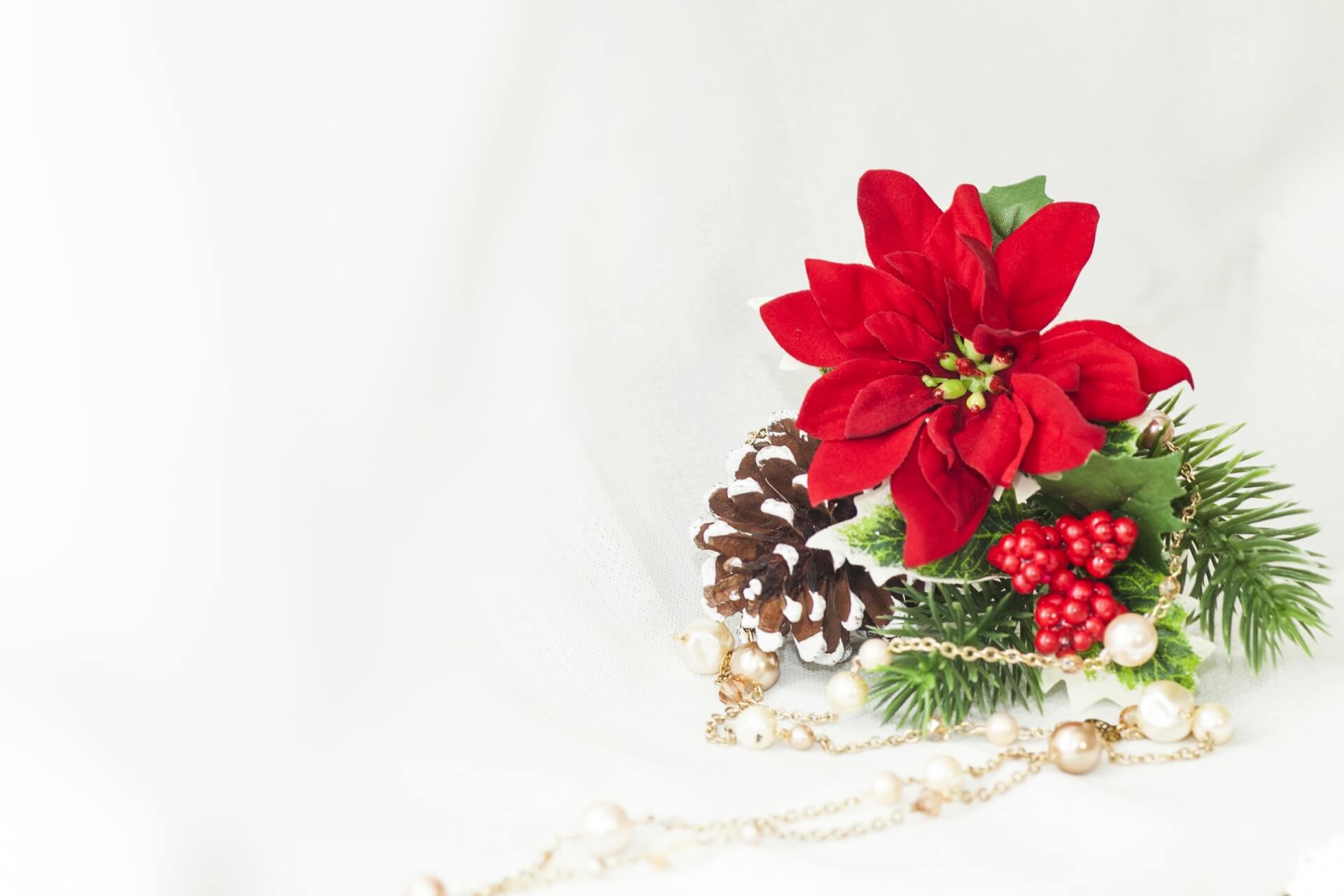 クリスマスプレゼントに花 クリスマスプレゼントに花
