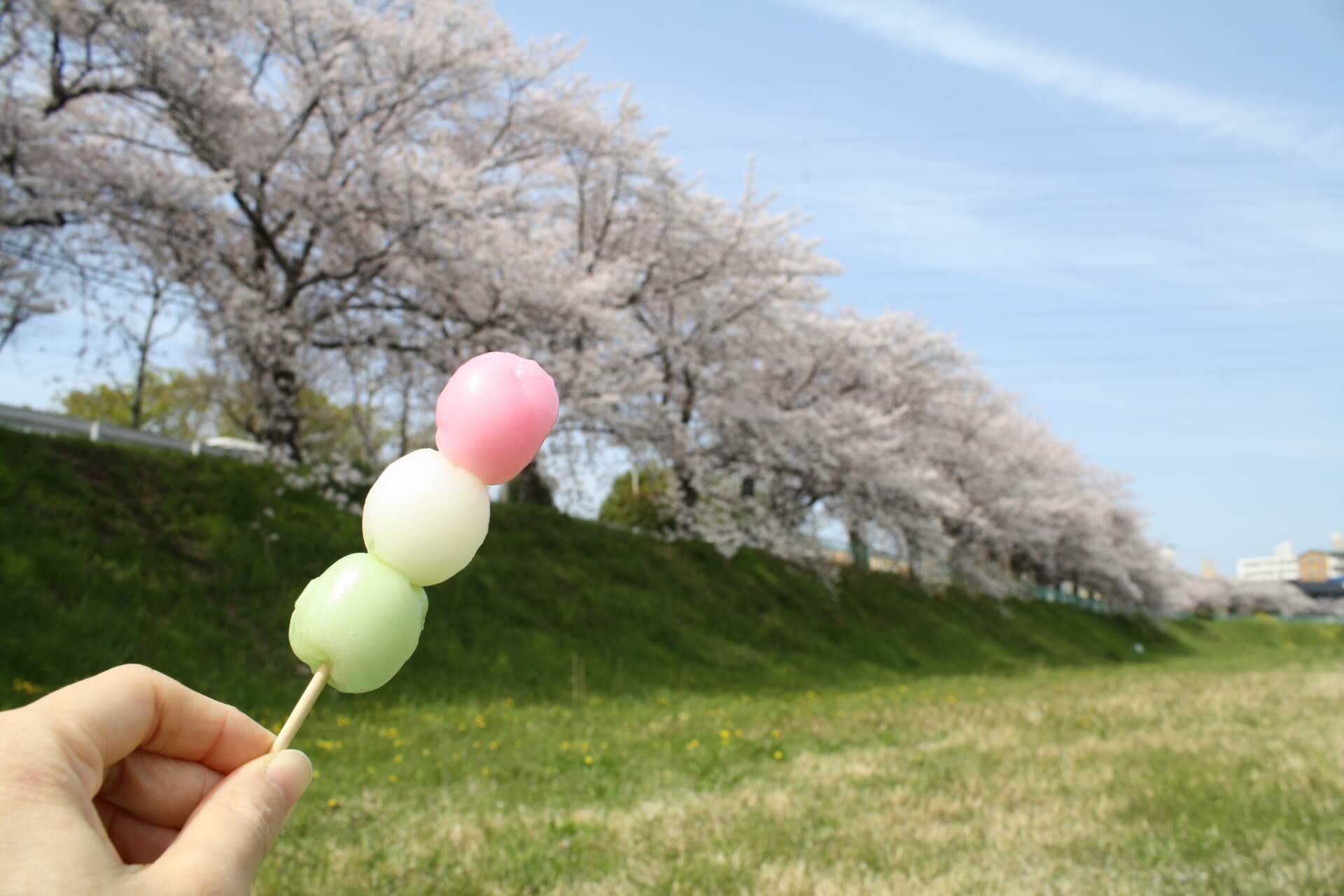 お花見には、なぜ団子が…!? お花見には、なぜ団子が…!?