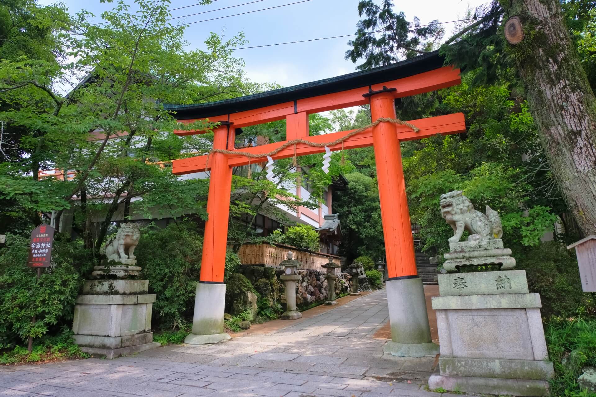 初詣で縁を引き寄せる!関西で人気の高いおすすめ神社 初詣で縁を引き寄せる!関西で人気の高いおすすめ神社
