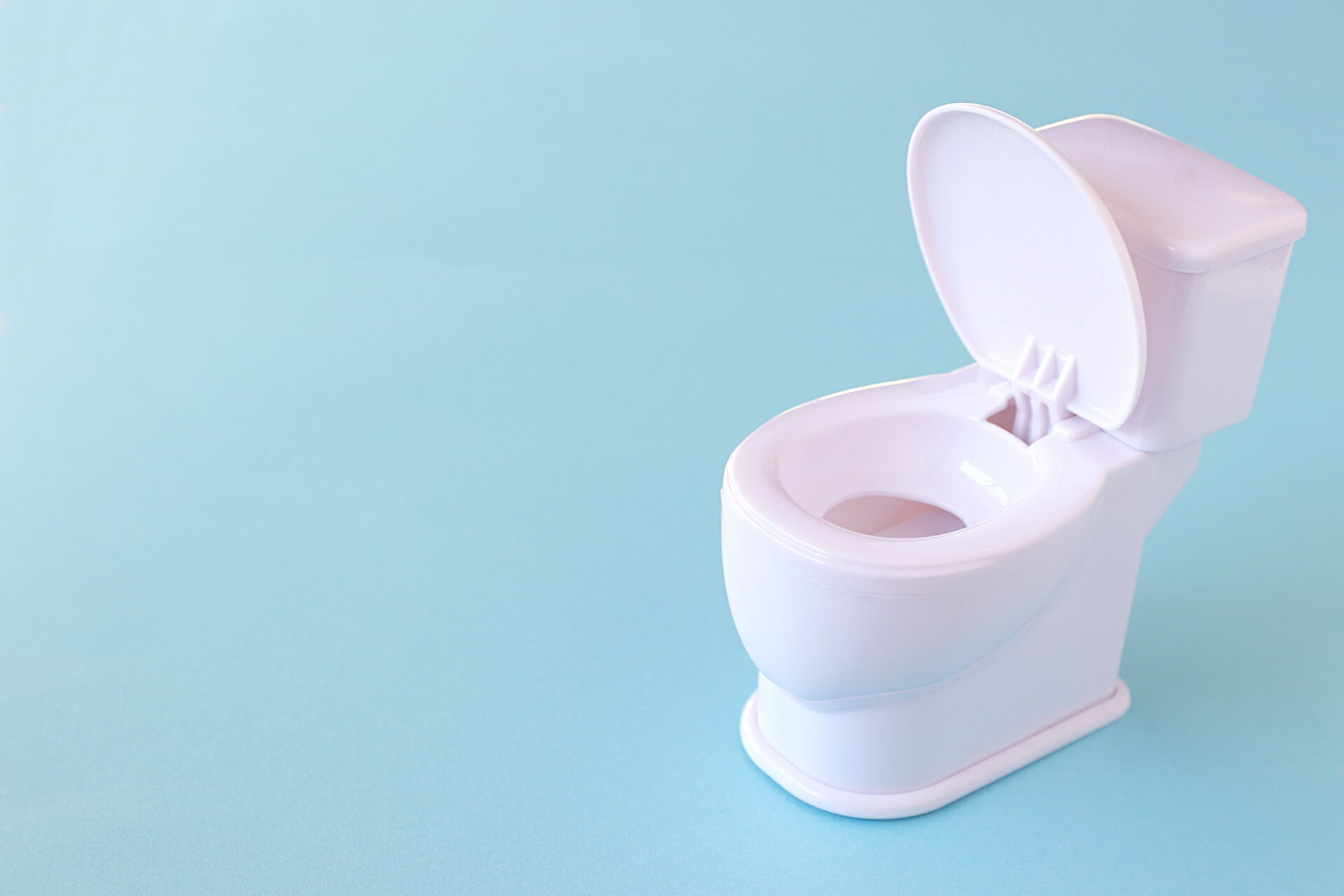 旅行の際は参考に!?世界の面白いトイレガイドブック 旅行の際は参考に!?世界の面白いトイレガイドブック