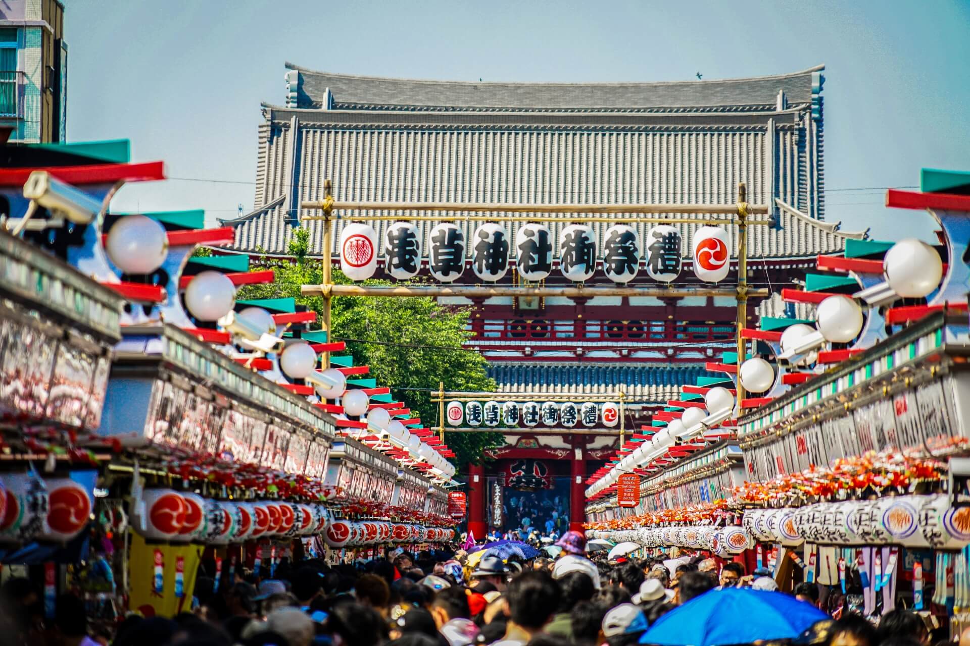 東京の代表的なお祭り3選 東京の代表的なお祭り3選