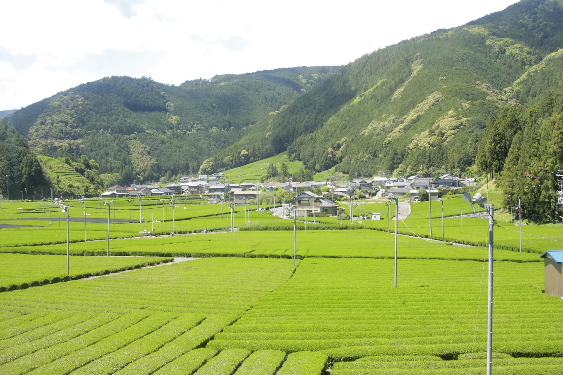 静岡の人気イベントをご紹介! 静岡の人気イベントをご紹介!
