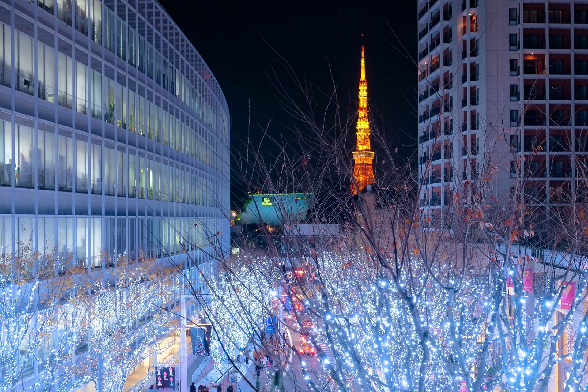 東京のイルミネーションイベントまとめ 東京のイルミネーションイベントまとめ