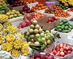 ホーチミンのおすすめ週末特集 0選