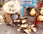 ホーチミンのおすすめホーチミン観光の基本情報 0選
