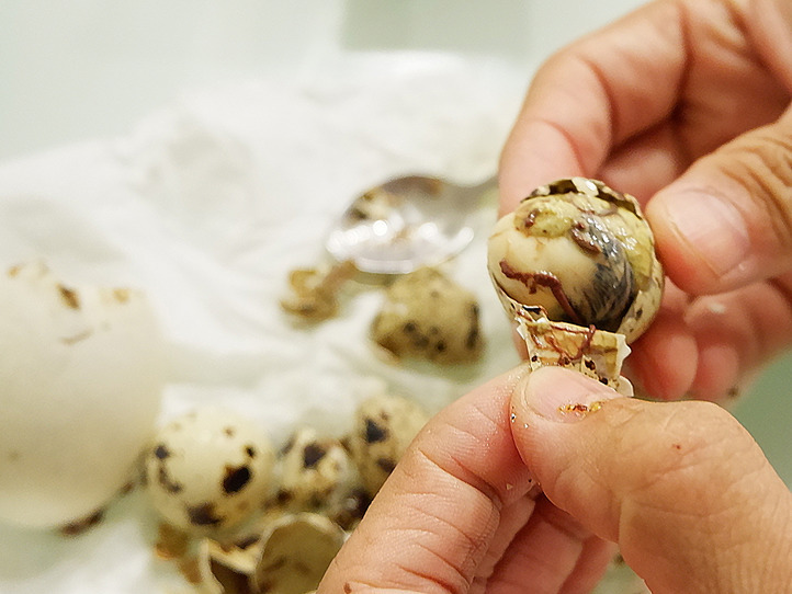 技あり!「ホビロン」の上手な食べ方