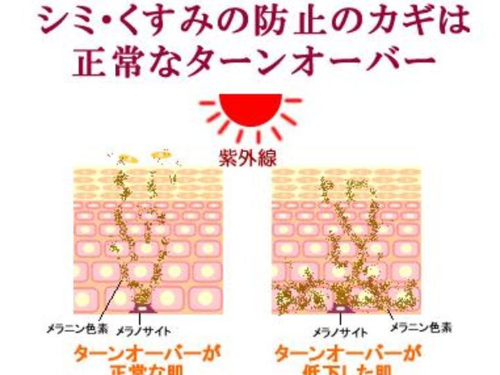 サマーディスカウント〜肌の若返りに!リジュビネーション20%OFF【7月のプロモーション】