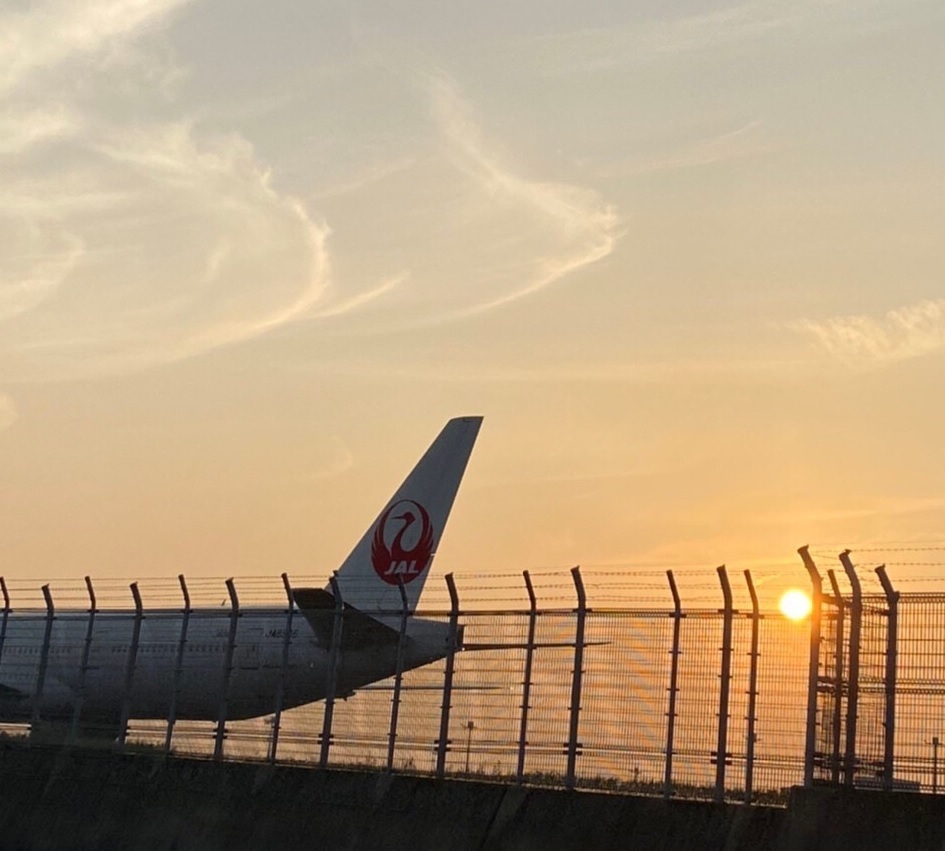 私 絶対にキャビンアテンダントになるの 普通の女子大生は どうして自分の夢を叶えられたのか Co Media コメディア