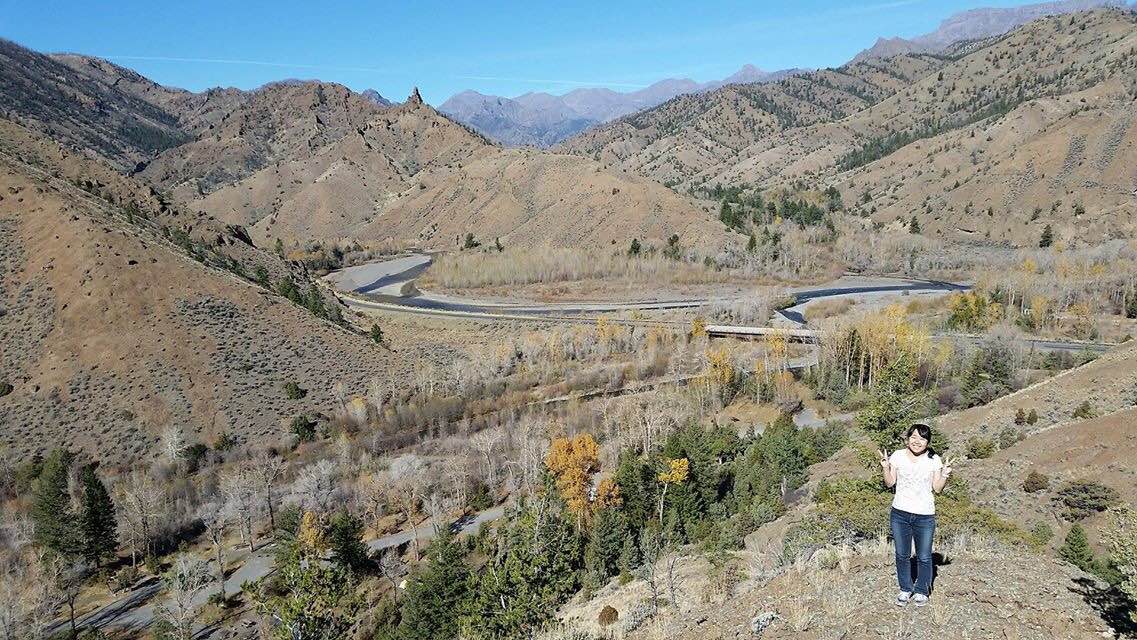 ワイオミングからこんにちは Co Media コメディア