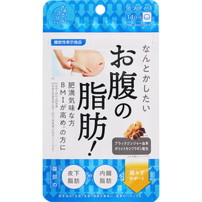 なんとかしたい お腹の脂肪! 7.0g(250mg×28粒)