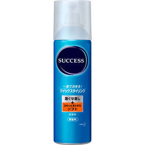 サクセス クイックスタイリング ソフト 220g