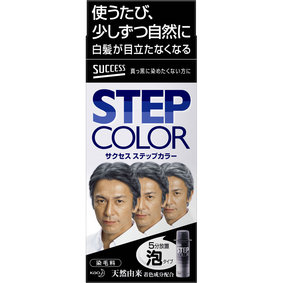サクセス ステップカラー 110g
