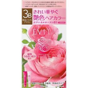 エビータ トリートメントヘアカラー 3B 明るいライトブラウン 1個