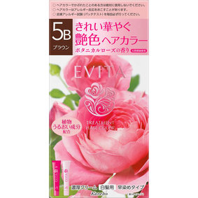 エビータ トリートメントヘアカラー 5B ブラウン 1個