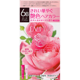 エビータ トリートメントヘアカラー 6B ダークブラウン 1個