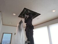 ��������ʬ��������ȡ���̤�и��Ǥ�٥ƥ�󥹥��åդ�ʬ����䤹����Ƴ���ޤ���