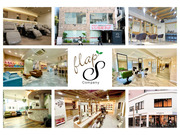 flapS������Ҥβ���