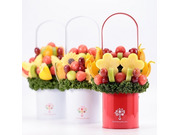 �ץ쥸���������Ҥβ���