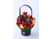 �ץ쥸���������Ҥβ���