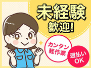 ҥץ饤β