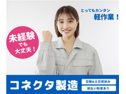 ������Ҥ����ۡ���ǥ��󥰥��β���