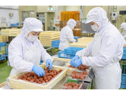 ����󥨥С�������Ҥβ���